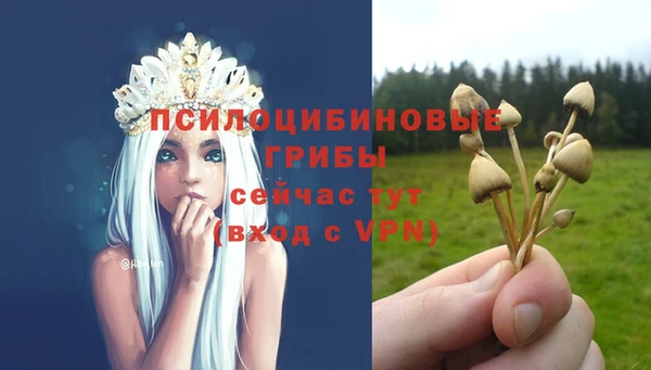ALPHA PVP Алзамай